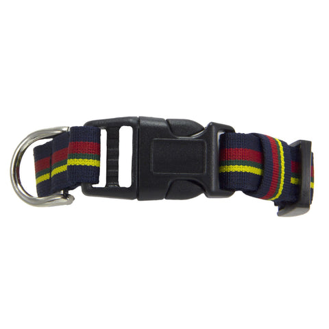 Royal Marines Dog Collar
